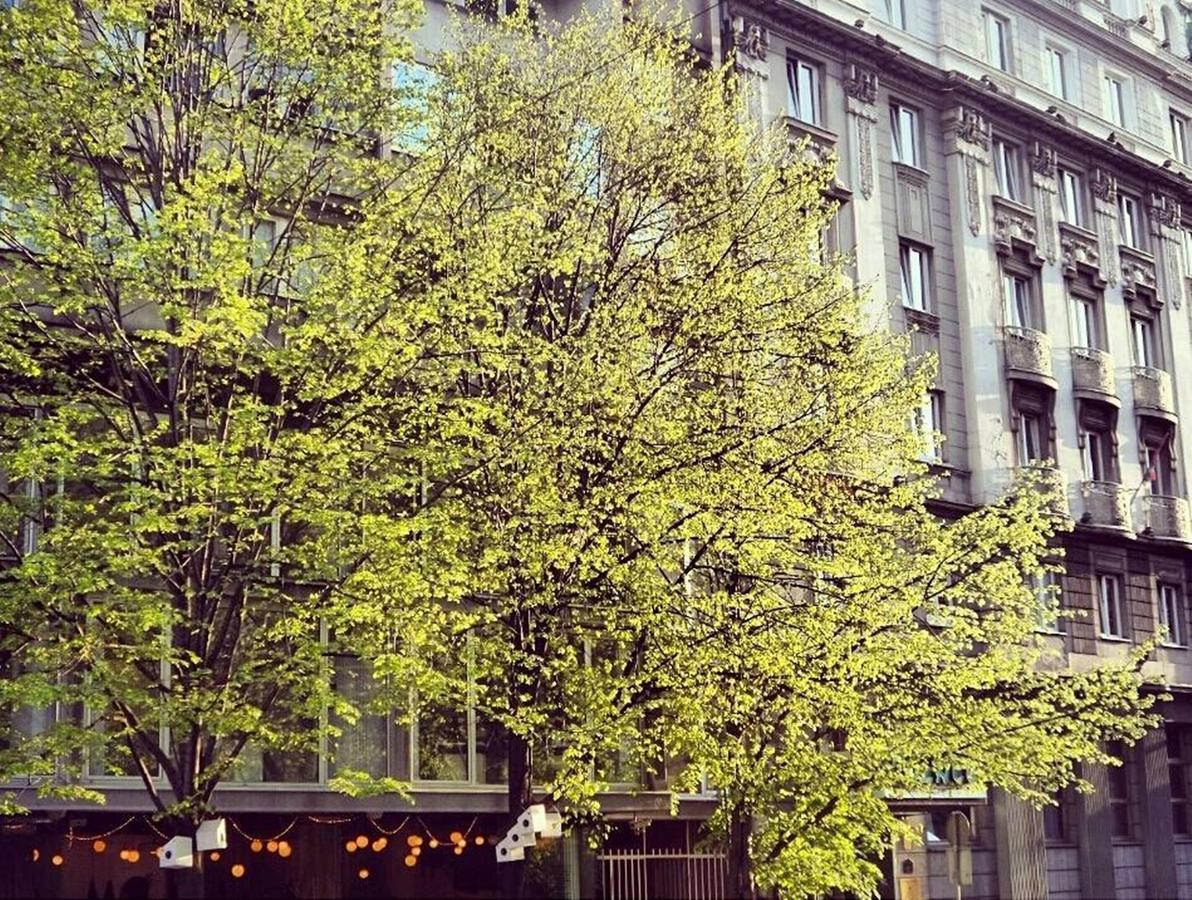 Daire Supreme Palace Cube Belgrad